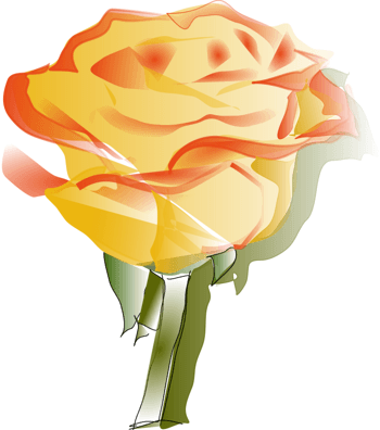 橘黄色的卡通一朵花