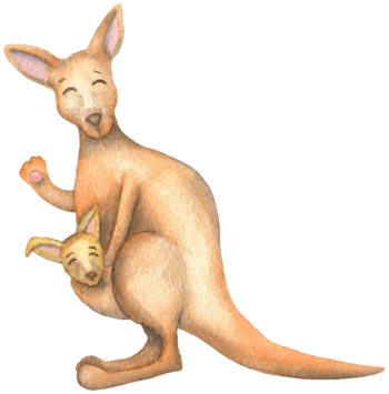 kangaroo动袋鼠