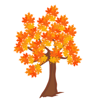 手绘枫树