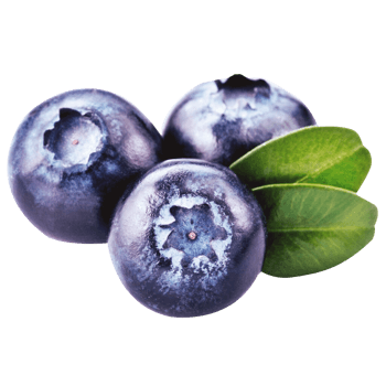 紫色蓝莓