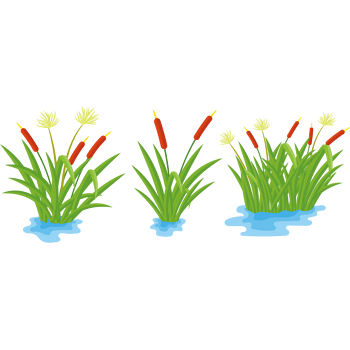 猫草 素材 免费猫草图片素材 猫草素材大全 万素网