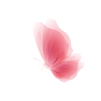 粉色手绘蝴蝶免抠元素图片-元素素材4090218-万素网