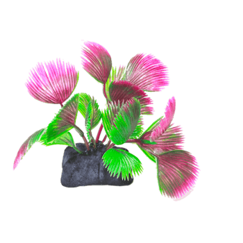 无毒塑料花鱼缸装饰水草 产品实物 869 643px 编号 Png格式 万素网