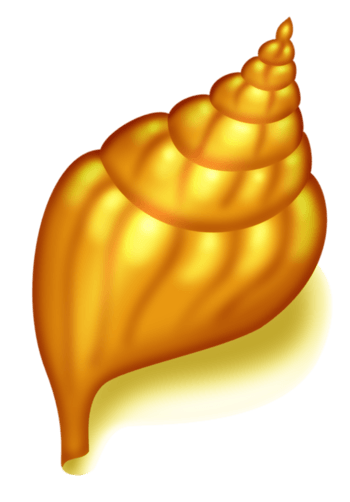 goldsteel金色海螺图片