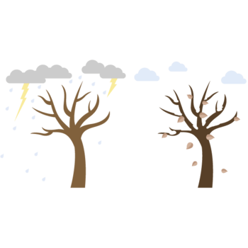 矢量刮风下雨树叶掉落