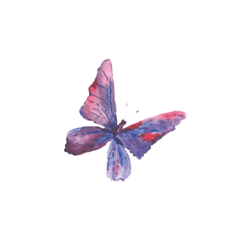 美丽的蝴蝶翅膀免抠元素图片_元素素材2960044_万素网