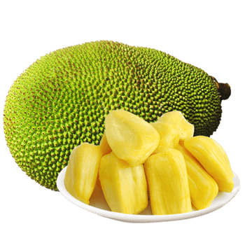 孟加拉国国家菠萝蜜孟加拉国水果菠萝蜜水果国家孟加拉