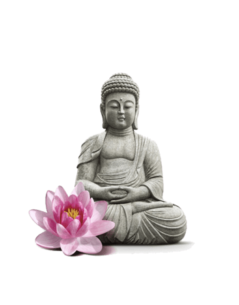 莲花与佛