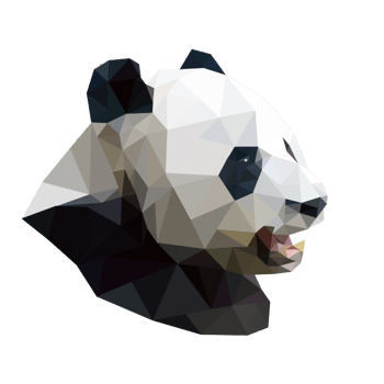 3d立体熊猫