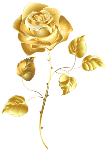 黄金色一朵玫瑰花