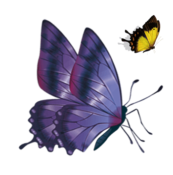 紫色的蝴蝶装饰免抠元素图片_元素素材3408943_万素网