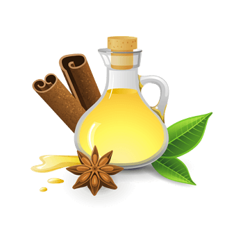 矢量油壶桂皮