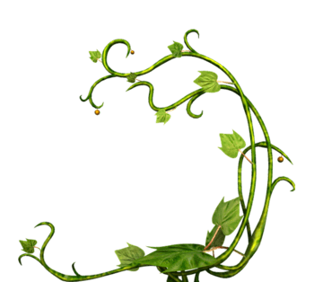 卡通手绘绿色藤蔓