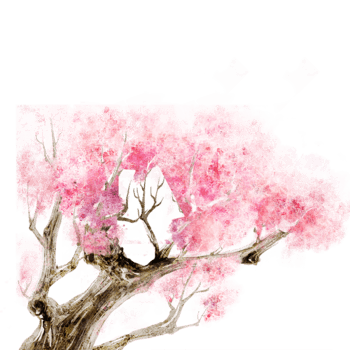 手绘樱花树