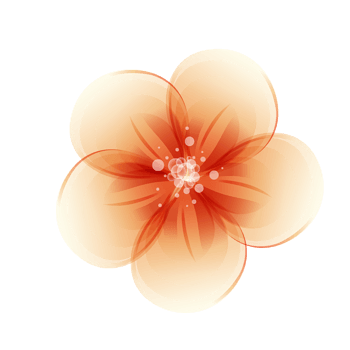 粉色的绘制图形