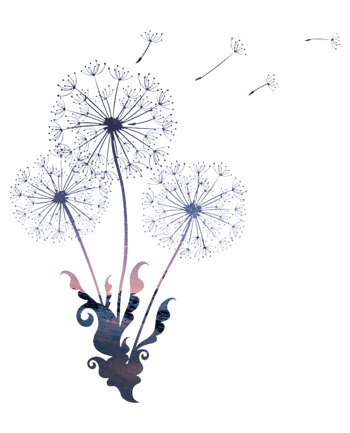 装饰蒲公英图片素材