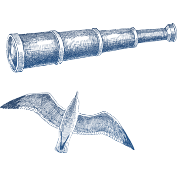 手绘线稿海鸥望远镜装饰画