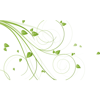 枝叶素材图片免抠元素图片_元素素材3320644_万素网