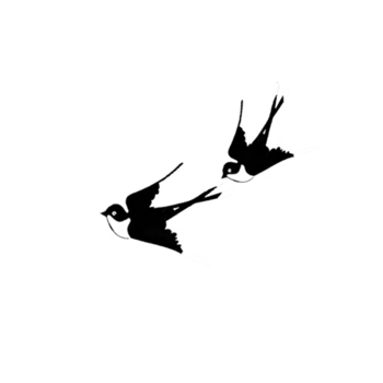 飞行的燕子图片免费下载-飞行的燕子素材-万素网