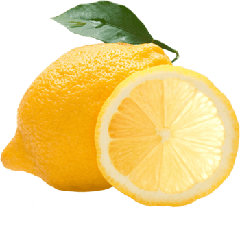 柠檬片透光高清切片