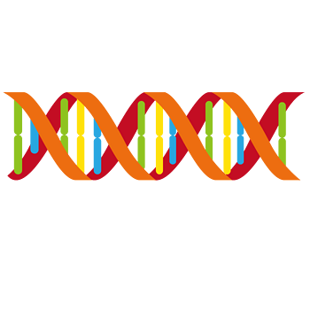 彩色dna双螺旋结构