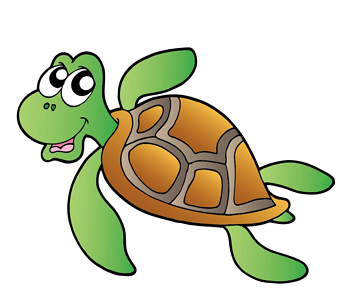 乌龟矢量