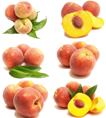 5桃子图片免费下载_5桃子素材_第4页_万素网