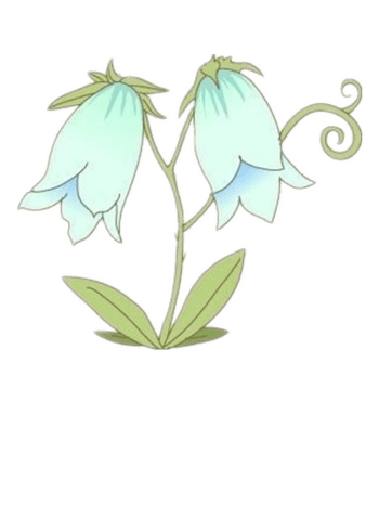 牵牛花素材图片