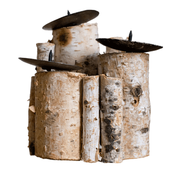 白桦木 素材 免费白桦木图片素材 白桦木素材大全 万素网