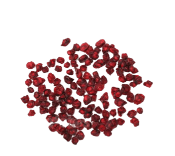 散开的五味子图片素材