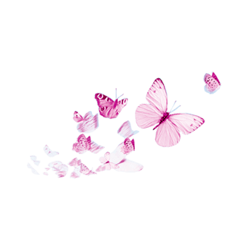 漫天飞舞的蝴蝶