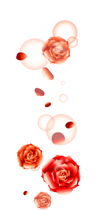 抽象梦幻浪漫玫瑰花泡泡
