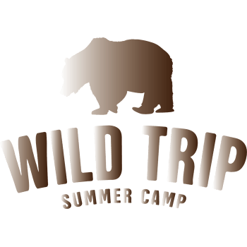 矢量棕熊logo设计