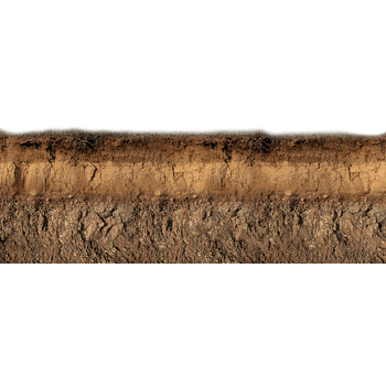 土壤表面截面剖面