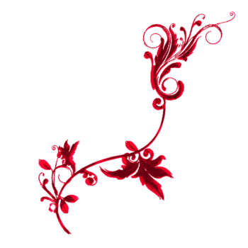 红色花边装饰花