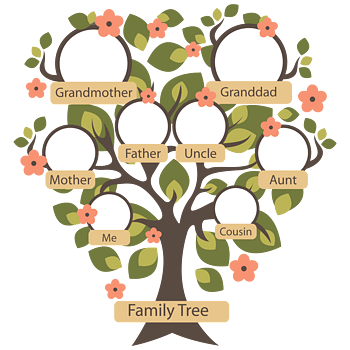 家庭树简笔画简单头像图片