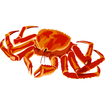 红烧螃蟹卡通图片