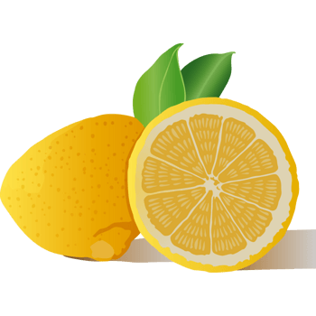 矢量金灿灿的脐橙插图