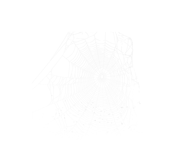 卡通素材蜘蛛网矢量图