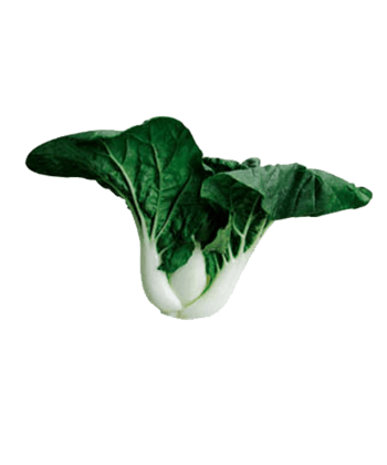 一个新鲜的中脚奶白菜