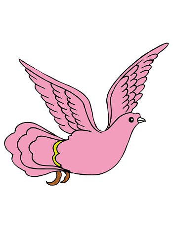 粉色鸽子