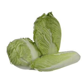 蔬菜剪影食物剪影 清新白菜