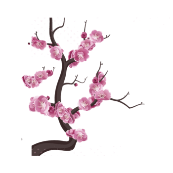 梅花装饰