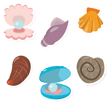 贝壳元素图片免费下载_贝壳元素素材_万素网