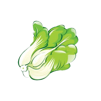 食物图标蔬菜矢量图清新白菜