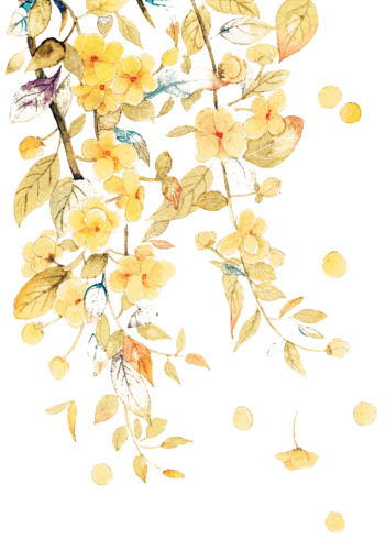 墨花 素材 免费墨花图片素材 墨花素材大全 万素网