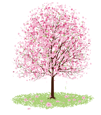 卡通手绘粉色桃树图片