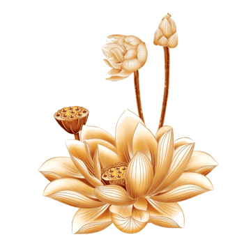 佛莲 素材 免费佛莲图片素材 佛莲素材大全 万素网