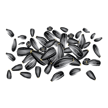 瓜子卡通 素材 免费瓜子卡通图片素材 瓜子卡通素材大全 万素网