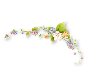 矢量花藤植物素材